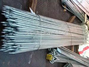定做ф20*2.5米帶尖鍍鋅接地棒